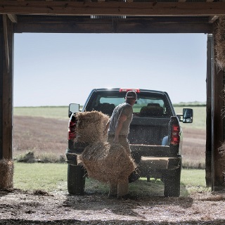 Man putting hay bales in back of truck.